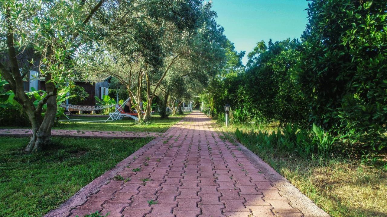 بنغل سيرالي زاكوم Çıralı المظهر الخارجي الصورة